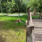 Le Paradis De Verdure