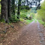 Le Paradis De Verdure Chalet Natzwiller