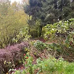 Le Paradis De Verdure Natzwiller