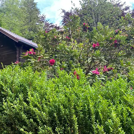 Le Paradis De Verdure * Natzwiller