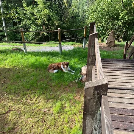 Le Paradis De Verdure