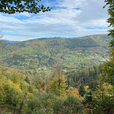 Le Paradis De Verdure