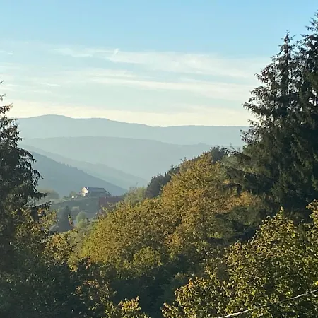 Le Paradis De Verdure Chalet Natzwiller