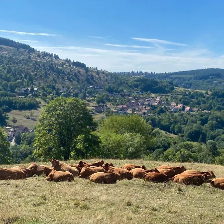 Domek alpejski Le Paradis De Verdure Natzwiller