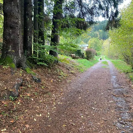 Le Paradis De Verdure Chalet Natzwiller