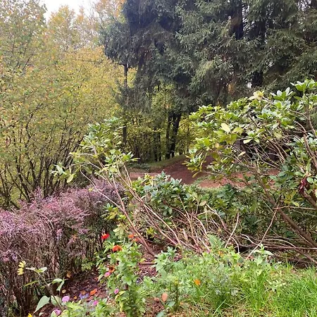 Le Paradis De Verdure Natzwiller