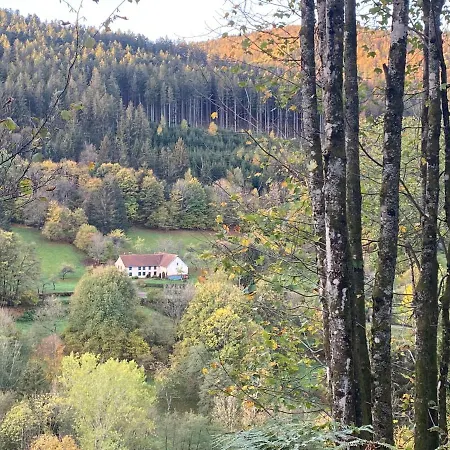 Le Paradis De Verdure