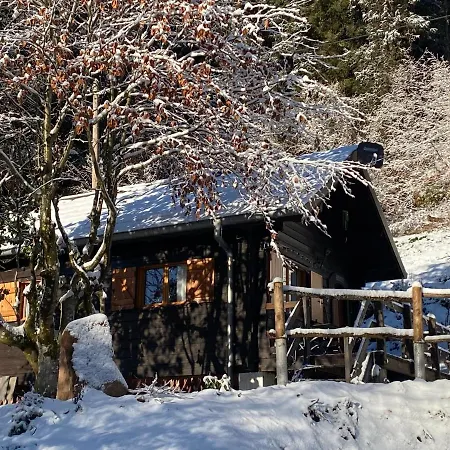 Le Paradis De Verdure