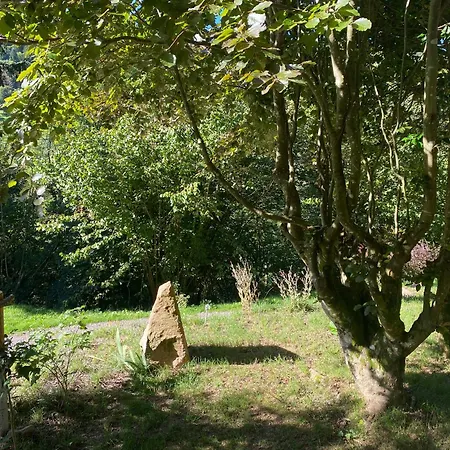 Le Paradis De Verdure Chalet Natzwiller