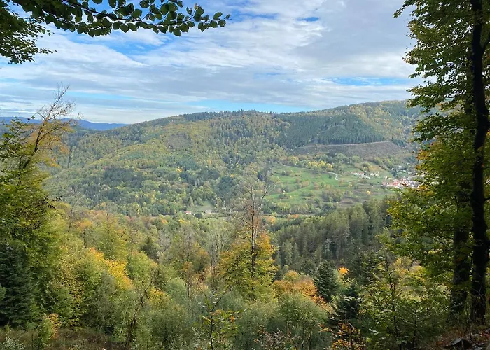 Le Paradis De Verdure