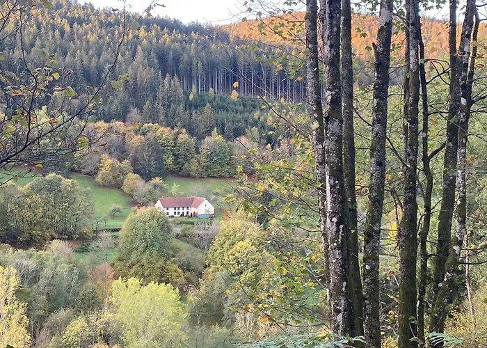 Le Paradis De Verdure